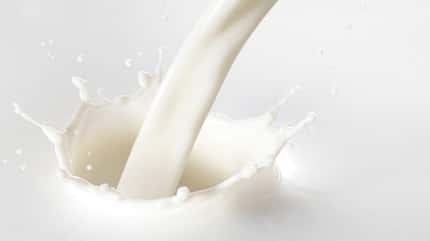 Milk splash Milk splash