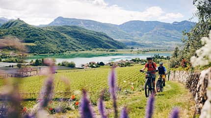 Bike, Biken, Caldaro, Dein Platz ist hier, E se fossi qui, Kalterer See, Kaltern, Lago, Lago di Caldaro, Lake, MTB, Mountain biking, Mountainbike, Rad, Radfahren, See, Side Shots, Sideshots, Tour, Bicycle, Bike, Human, Person, Plant, Transportation, Vehicle Mountainbiker oberhalb des Kalter Sees
