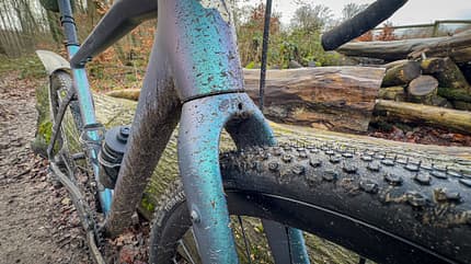 Carver Gravel 230,Gravelbike,schräge Seitenansicht vor Baumstämmen Carver Gravel 230,Gravelbike,schräge Seitenansicht vor Baumstämmen