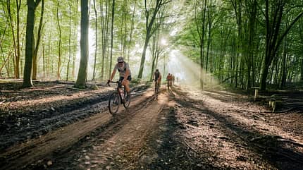 deuter,Rucksack,Rogla 5,Action,Wald,Sonnenlicht deuter,Rucksack,Rogla 5,Action,Wald,Sonnenlicht