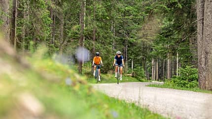 Wald,bike,forststraße,gravel,gravelbike,radsport,sommer,Bicycle,Cycling,Helmet,Path,Person,Shoe,Tree,Vegetation,Vehicle SalzburgerLand,Reise,Biken,Forst,Gravelbike,zwei Fahrerinnen