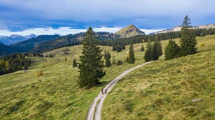 SalzburgerLand,Gravel,Bike,Tannen,Weg,Gravelbiker SalzburgerLand,Gravel,Bike,Tannen,Weg,Gravelbiker