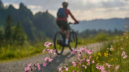 Ausreden, nicht Fahrrad zu fahren Ausreden, nicht Fahrrad zu fahren