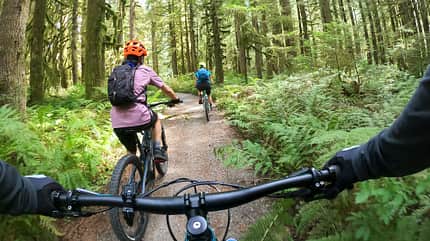 POV, Mountain Biker Following Family on Single Track Forest Trail POV, Mountain Biker Following Family on Single Track Forest Trail