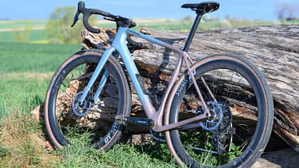 Gravelbike,Avona Callis,am Baumstamm gelehnt