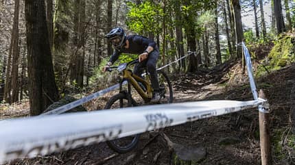 2025,Edge,MTB