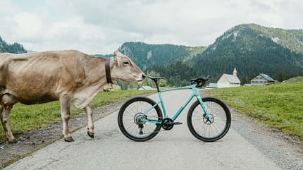Simplon Grid :elight,Gravelbike,Kuh,Seitenansicht Simplon Grid :elight,Gravelbike,Kuh,Seitenansicht