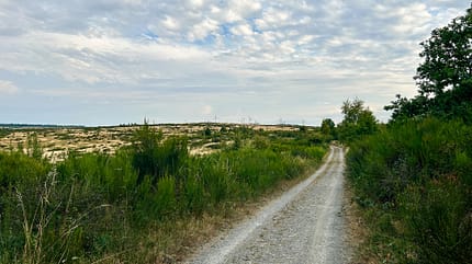 Schotterweg,weite Landschaft,The Grain,Schicke Mütze,Scops