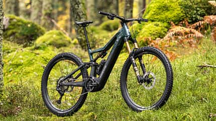 Das Focus Jam² Next im Wald Das Focus Jam² Next im Wald