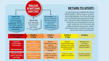 Herzmuskelentzündung Grafik 