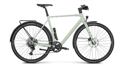 Rose Sneak Plus EQ Shift