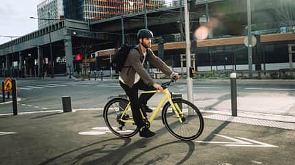 Rose Sneak Plus EQ Shift