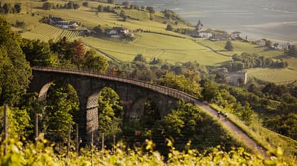 Südtirol,Talradwege Südtirol
piste ciclabili Alto Adige