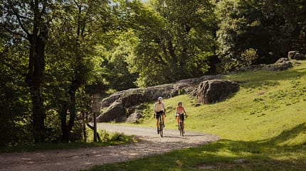 Südtirol,Gravel,breiter Weg,Bäume