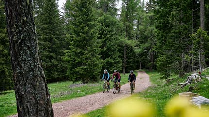 Südtirol,Eggental,Gravelbiken,Wald,drei Fahrer