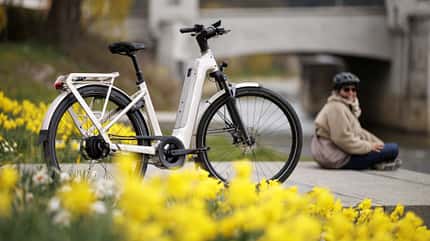 Kalkhoff Image 5+ Move im Test