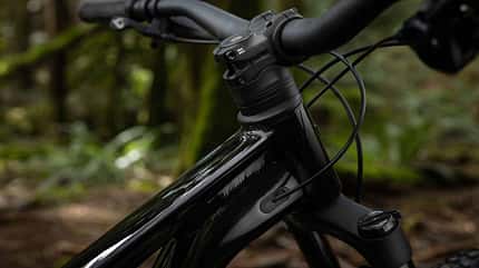 2026,sterling lorence,photo,photography Giant Stance