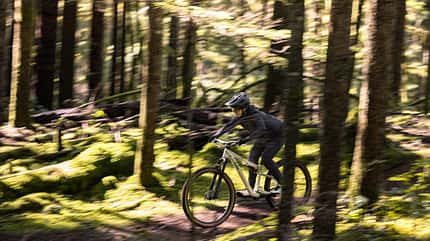 Liv Embolden 2026 Liv Embolden 2026