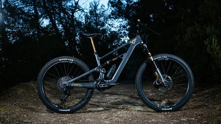 YT Decoy X YT Decoy X