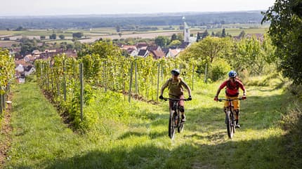 Zwei Personen fahren mit Mountainbikes durch einen Weinberg, im Hintergrund ein Dorf und weite Landschaft.