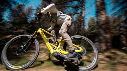 Orbea Wild TR 2027