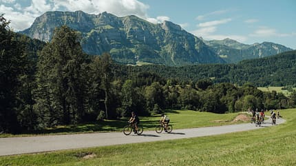 into the wold 2026 Bergwelt