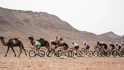 Sahara Gravel Race,Gravel-Event,Wüste,Reportage,Fahrer neben Kamelen Sahara Gravel Race,Gravel-Event,Wüste,Reportage,Fahrer neben Kamelen