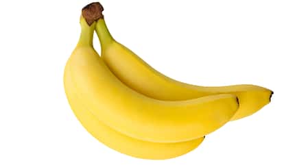 Bananenstaude mit drei gelben Bananen, freigestellt auf weißem Hintergrund. Bananenstaude mit drei gelben Bananen, freigestellt auf weißem Hintergrund.