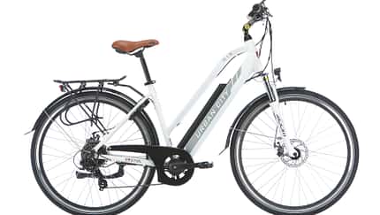 eb-012019-test-stadt-e-bike-asviva-b15-d-52-BHF-eb-52-001 (jpg)