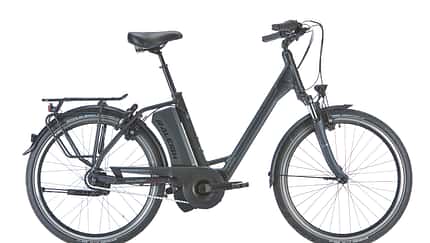eb-test-2018-BHF-54-raleigh-boston-xxl-001 (jpg)