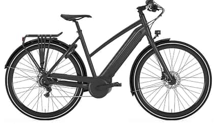 UB Pedelec Gazelle 2018 CityZen C8+HMB