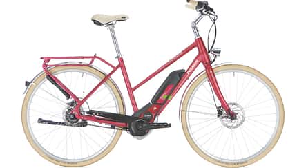 ub-pegasus-macaron-e-e-bike-test-2017 (jpg)