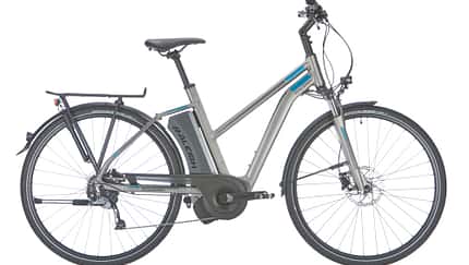 ub-raleigh-stoker-9-e-bike-test-2017 (jpg)