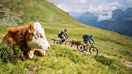 mb-1116-tirol-cross-001.jpg