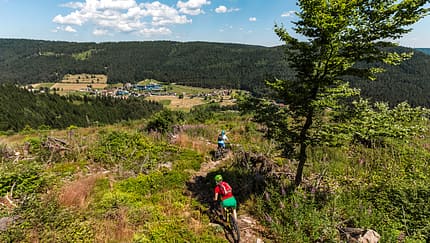 MB_1016_Baiersbronn_Kern-8006.jpg_V (jpg)