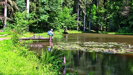 MB-0913-MTB-Eifel-5 (jpg)