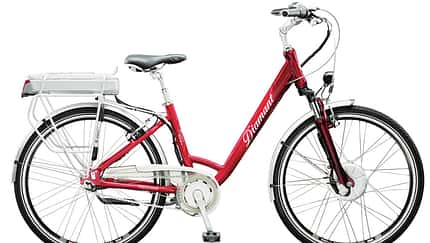 UB-Diamant-Ride-Komfort-Achat-Bike-Tiefeinsteiger-Rot-2013 (jpg)