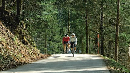 RB 0608 Touren Schwarzwald - Dichter Baumbestand