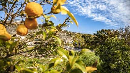RB 0219 Top Spots Mallorca Tour 2 Sant Salvador Tour Bild