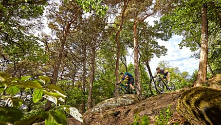 mb-1017-biken-in-deutschland-pfaelzerwald-christian-penning (jpg)