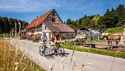 RB 0914 Reise Oberschwaben Baden Württemberg