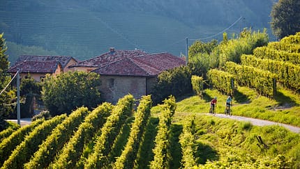 RB 0615 Piemont Tour 3 Langhe Region