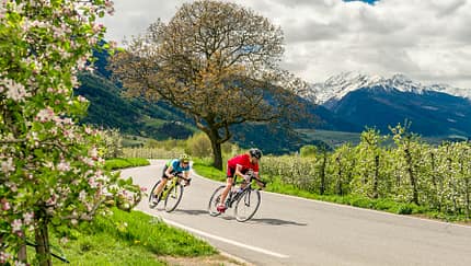 rb-bikehotels-suedtirol-feb-2019-kirsten-soerries-fruehling1-teaser