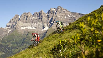 MB 0518 Trailguide Portes de Soleil