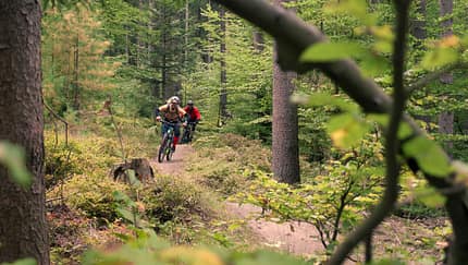 Flowtrail Kreuzberg