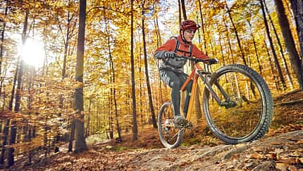 MB 0119 Trail Hardtail Radon Cragger 7.9 Produktbild