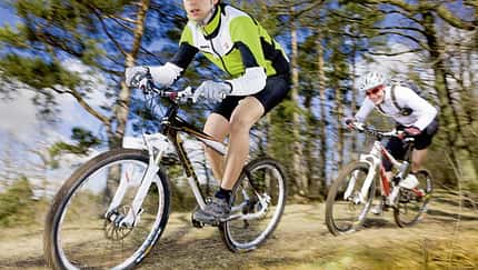 MB Fully vs Hardtail Teaserbild