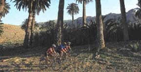 teneriffa