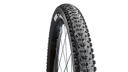 mb-0619-reifen-test-maxxis-rekon (jpg)