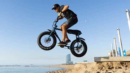 UB Ruff Cycles Lil'Buddy 1